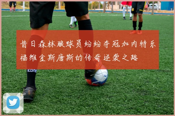 昔日森林狼球员纷纷夺冠加内特乐福维金斯唐斯的传奇逆袭之路